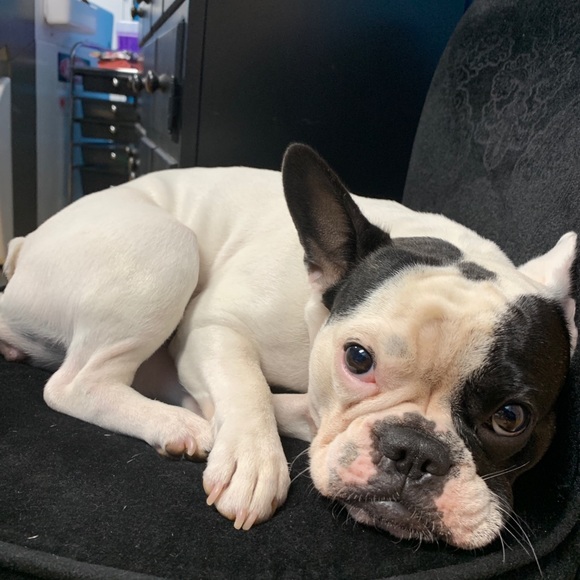 Meet your Posher, John - Picture 1 of 1